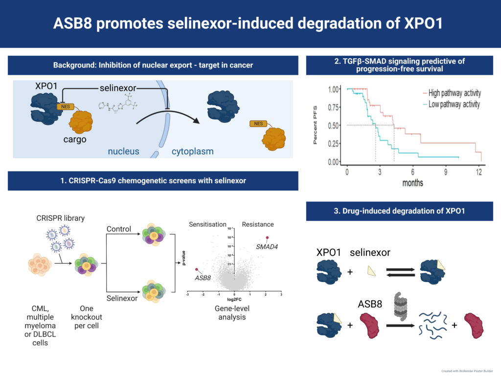 20230119 Biomed and Pharmacother Graph Abstr